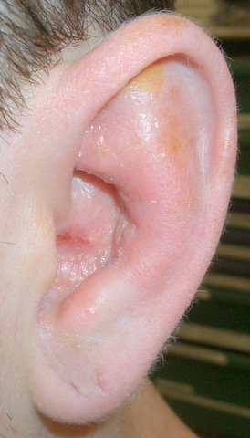 CIMG0511.JPG